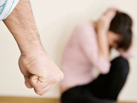 Məişət zorakılığı ilə bağlı müraciətlərin SAYI