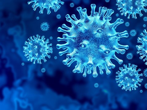 Koronavirusun yeni ştammı sürətlə yayılır - FLİRT