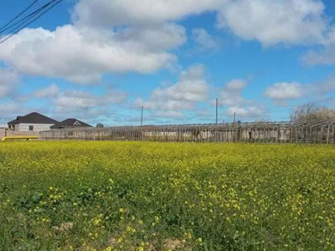 Azərbaycanda torpaq almaq üçün ipoteka krediti verilir? - VİDEO