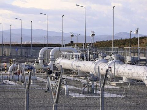 Türkmən qazı Azərbaycandan keçəcək!