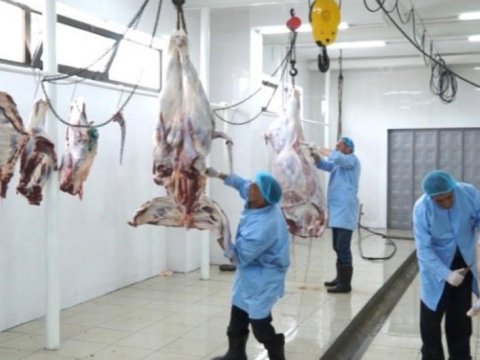 Heyvan kəsimi məntəqələri mövcud olmayan rayonlar - SİYAHI