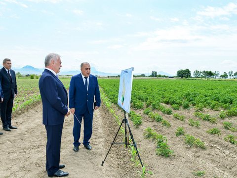 Vasif Talıbovun fermer təsərrüfatı ləğv edildi