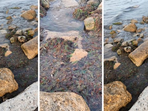 Çimərliyin çirklənməsi ilə bağlı görüntülər araşdırılıb