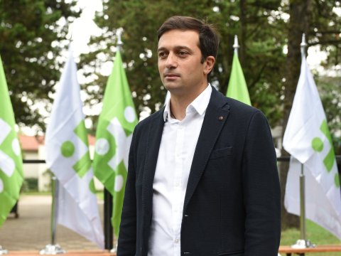 Gürcü ombudsmandan parlamentə ÇAĞIRIŞ - Vetoya qarşı çıxmayın!