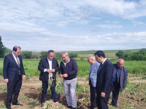 Goranboyda aqrar sektorun inkişaf sahələri genişləndirilib - FOTO