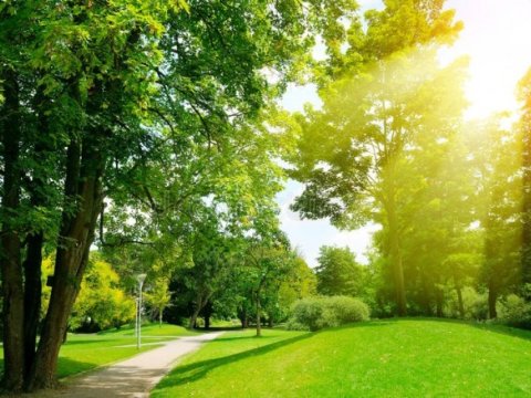 33 dərəcə isti olacaq - Bu günün havası