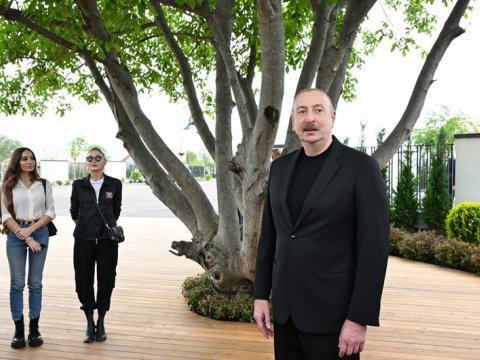 Bizə qarşı yenidən ərazi iddiaları irəli sürmək cəhdləri var - Prezident