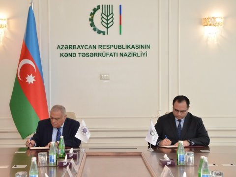 Nazirlik və Akademiya arasında memorandum imzalanıb
