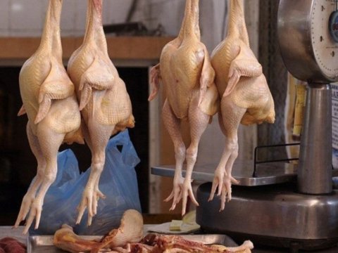 Kənd toyuğunun qiyməti ARTDI
