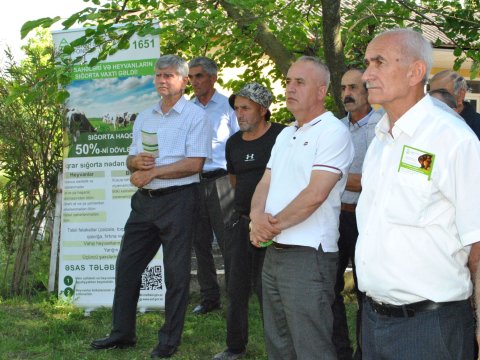 Aqrar Sığorta Fondu Zaqatala və Qaxda fermerlərlə görüşlər keçirib - FOTOLAR