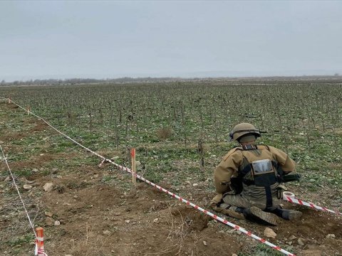 Qarabağda minatəmizləmə prosesinə xərclənən pulun məbləği AÇIQLANDI