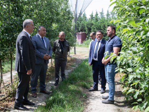 Nazir müavini Şabranda vətəndaşlarla görüşüb - Təsərrüfatlara baxış keçirib