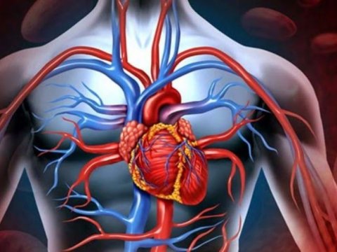 Ürəkdən ölənlərə görə niyə ikinci yerdəyik? - Rəşad Mahmudov izah edir