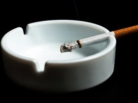 Tütün hər il 8 milyondan çox insanı öldürür