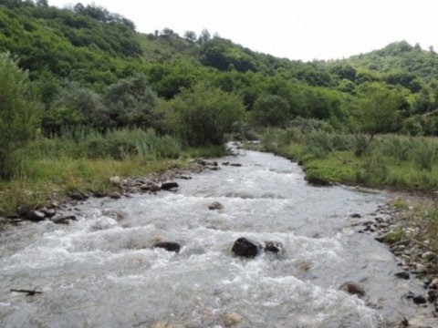 Çaydan meyit tapıldı 