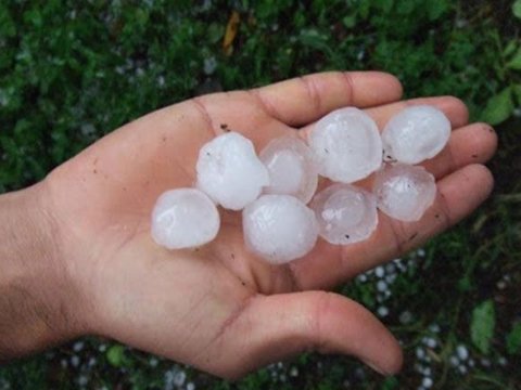 Azərbaycanın bəzi rayonlarına dolu düşüb