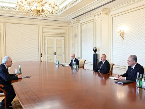 Prezident Beynəlxalq Enerji Agentliyinin icraçı direktorunu qəbul edib 