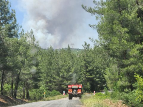 Bursada meşəlik ərazi yanır