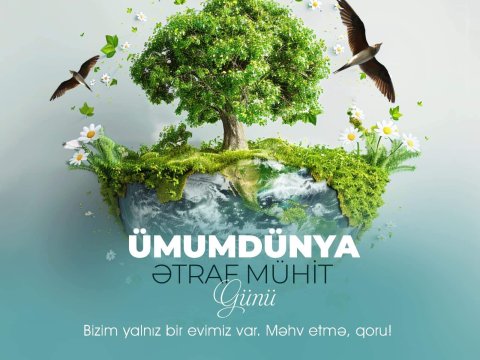 COP29-un Azərbaycanda keçirilməsi görülən işlərin ən yaxşı göstəricisidir - Ekspert