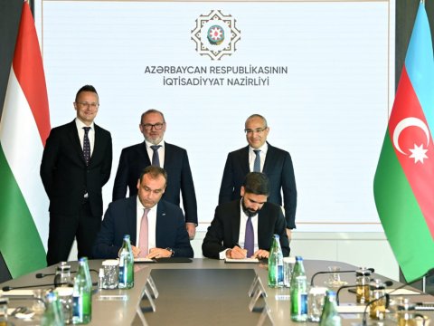 Macarıstan şirkəti 