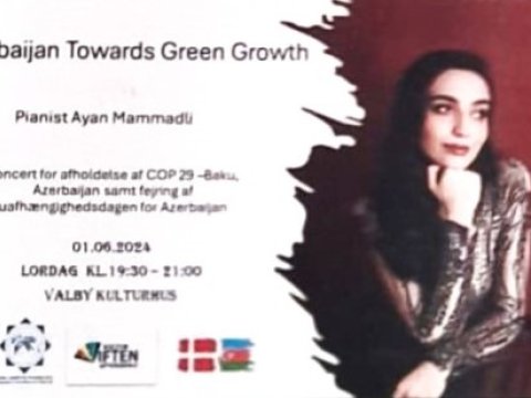 “Yurdumun gözəlliyi həzin musiqilərdə”