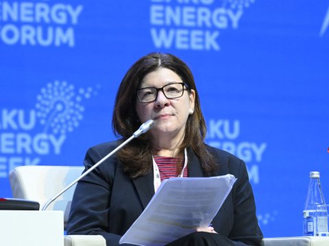 Mərkəz COP29 ilə bağlı gözləntilərini açıqlayıb