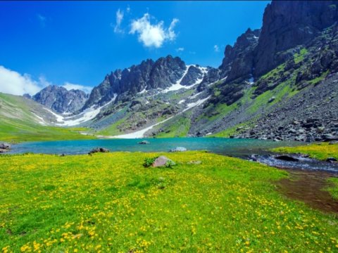 Baş nazirdən Zəngəzur Milli Parkı ilə bağlı QƏRAR