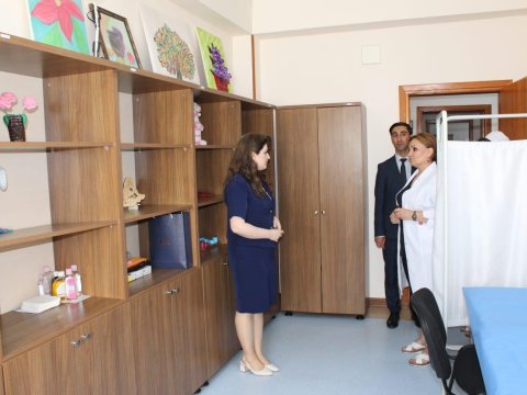 Ombudsman Naxçıvanda yoxlama apardı