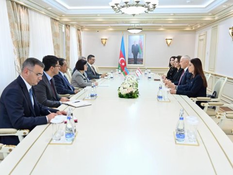 Sahibə Qafarova Zorlu Töre ilə görüşdü - FOTO