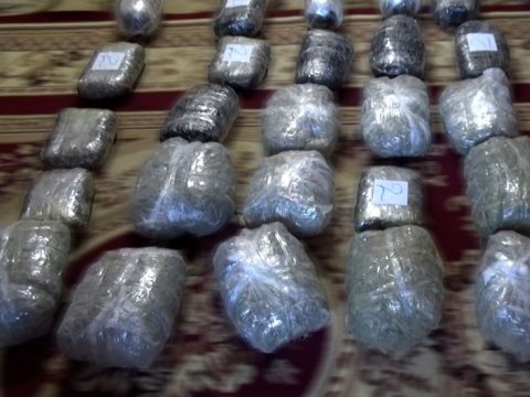 1 ayda 13 milyonluq narkotik dövriyyədən çıxarıldı 