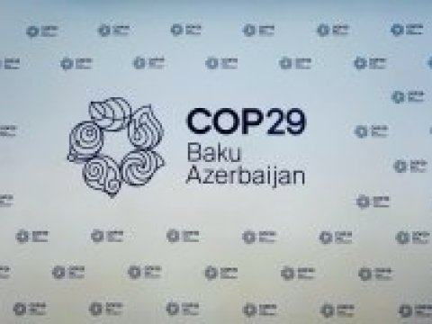 COP29-la bağlı birgə bəyanat yaydılar