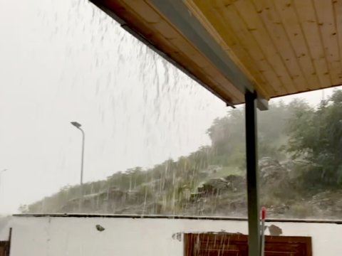 Laçına dolu düşdü - VİDEO