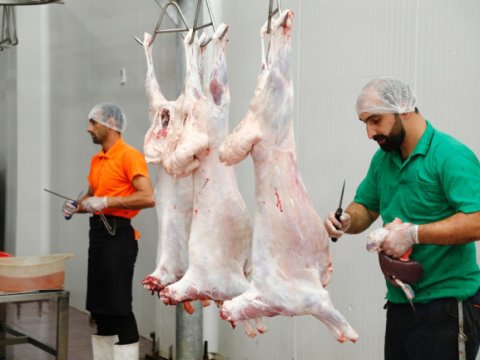 Qurbanlıq heyvanların kəsim və satış yerləri - SİYAHI