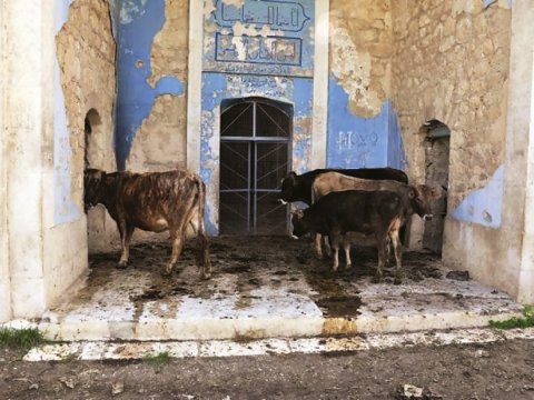 Musa Qasımlı: “Biz heç kilsəyə də ayaqqabı ilə girmirik, ermənilər isə...” - FOTO
