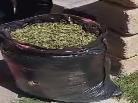 Keçmiş məhkumun evində 4 kq narkotik aşkarlandı
