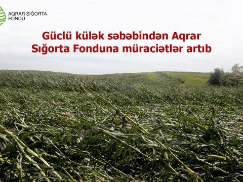 Aqrar Sığorta Fonduna müraciətlər daxil olmaqdadır