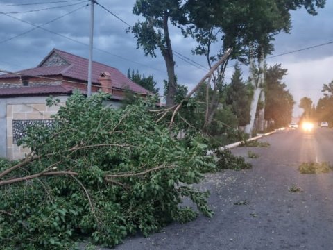 Güclü küləyin enerji təsərrüfatına vurduğu ziyan aradan qaldırılır