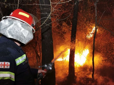 Gürcüstanda meşə yanğınları TƏHLÜKƏSİ