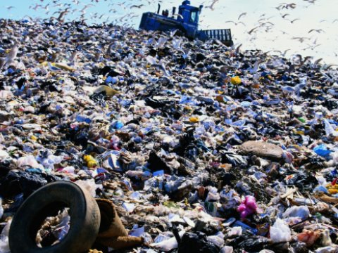 Məişət tullantılarının təhlükəsi günümüzün əsas problemidir