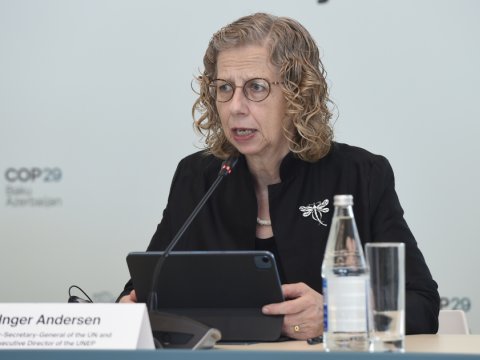 Azərbaycan böyük işlər görür - UNEP-in icraçı direktoru