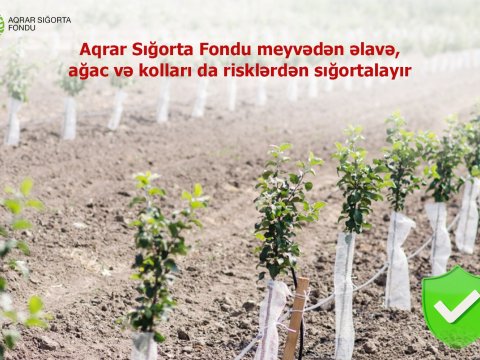 Aqrar Sığorta Fondu kolları da risklərdən sığortalayır 