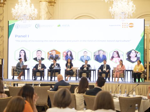 COP29 çərçivəsində konfrans keçirilib - FOTO