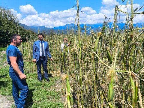Aqrar Sığorta Fondunun rəhbəri Qaxda vətəndaşları qəbul edib 