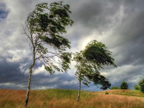 Güclü külək olacaq - Nazirlikdən XƏBƏRDARLIQ