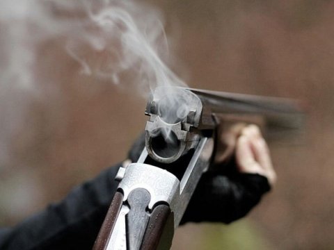 Ov silahı ilə qətlə yetirildi 