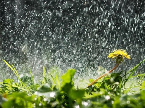 İyulun ilk gününün HAVA PROQNOZU