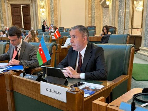 COP29-da 200-ə yaxın ölkə razılığa gəlməyə çalışacaq - Tahir Mirkişili