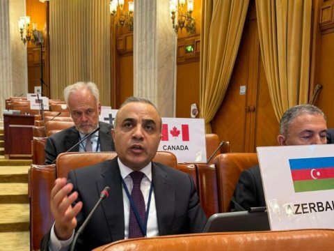 Deputat ATƏT PA-da Qərbi Azərbaycanlıların öz torpaqlarına qayıtmasından DANIŞDI