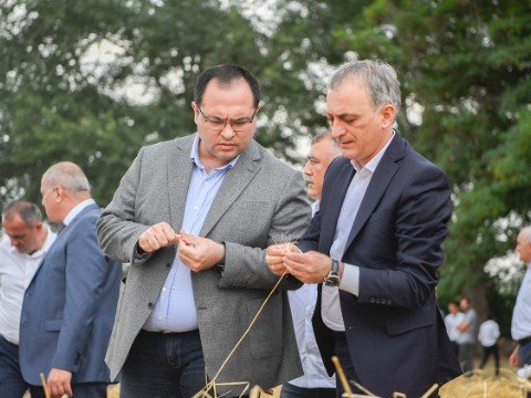 Nazir Xaçmazda taxıl biçini prosesini izləyib - FOTOLAR