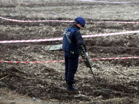 Bu ölkələr Ukraynada mina təmizlənməsinə kömək edəcəklər